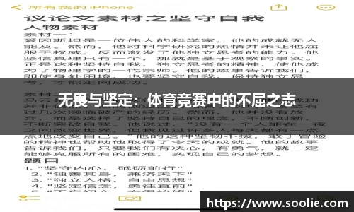 ballbet贝博艾弗森官网