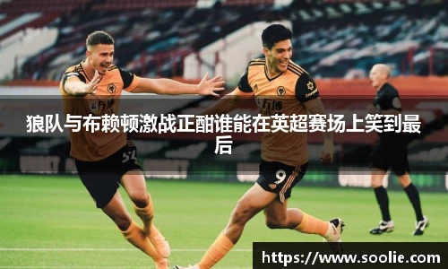 狼队与布赖顿激战正酣谁能在英超赛场上笑到最后